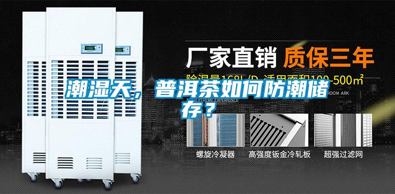 潮濕天，普洱茶如何防潮儲存？