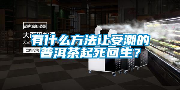 有什么方法讓受潮的普洱茶起死回生？