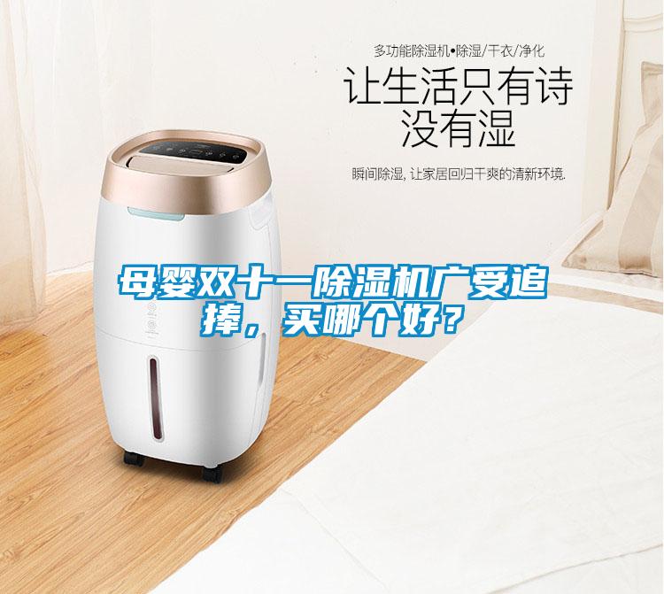 母嬰雙十一除濕機廣受追捧，買哪個好？