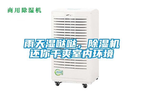 雨天濕噠噠，除濕機還你干爽室內環境