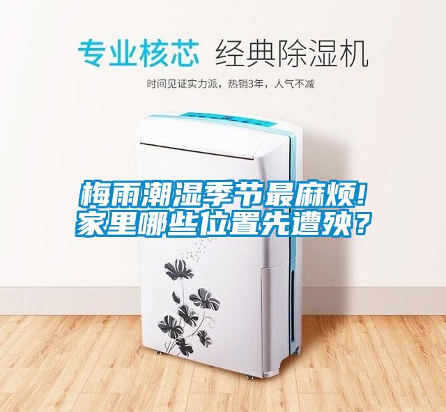 梅雨潮濕季節最麻煩!家里哪些位置先遭殃？