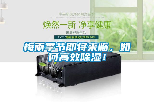 梅雨季節即將來臨，如何高效除濕！
