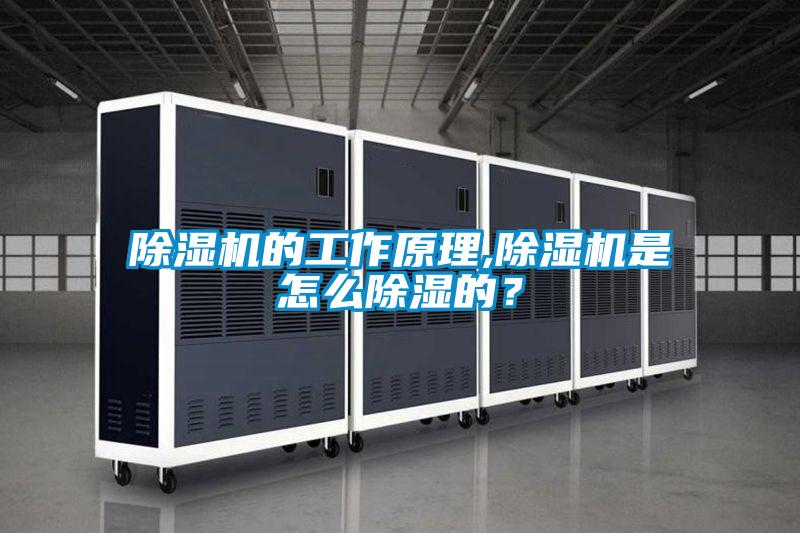 除濕機的工作原理,除濕機是怎么除濕的？