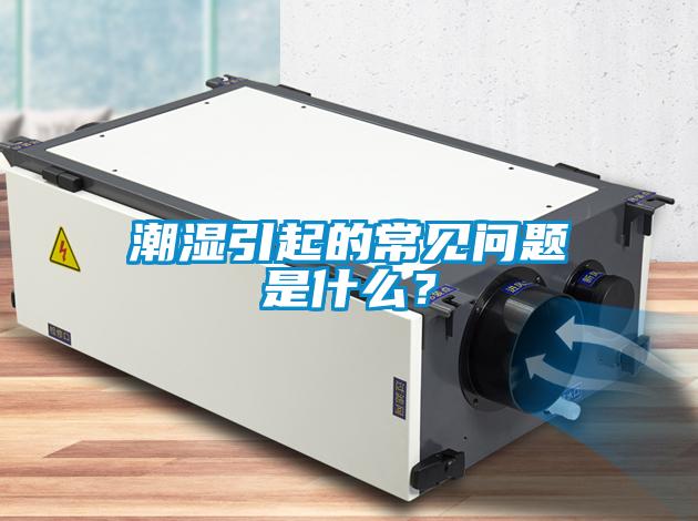潮濕引起的常見問題是什么?
