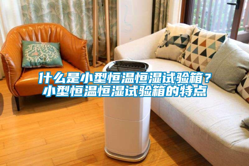 什么是小型恒溫恒濕試驗箱？小型恒溫恒濕試驗箱的特點