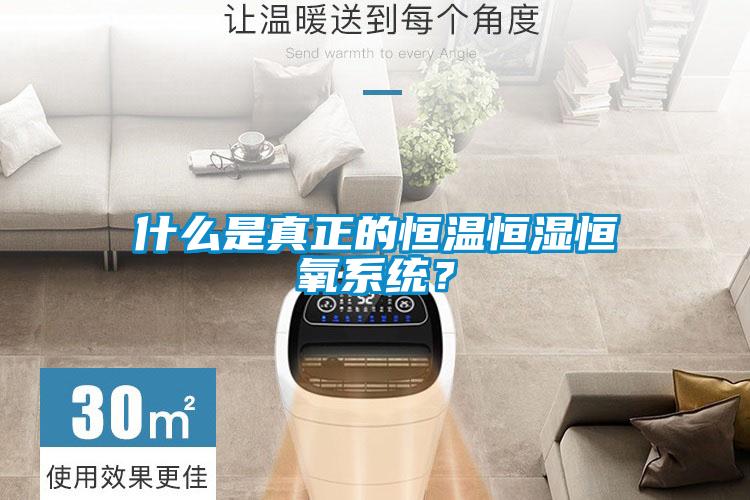 什么是真正的恒溫恒濕恒氧系統？