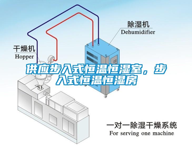 供應(yīng)步入式恒溫恒濕室，步入式恒溫恒濕房