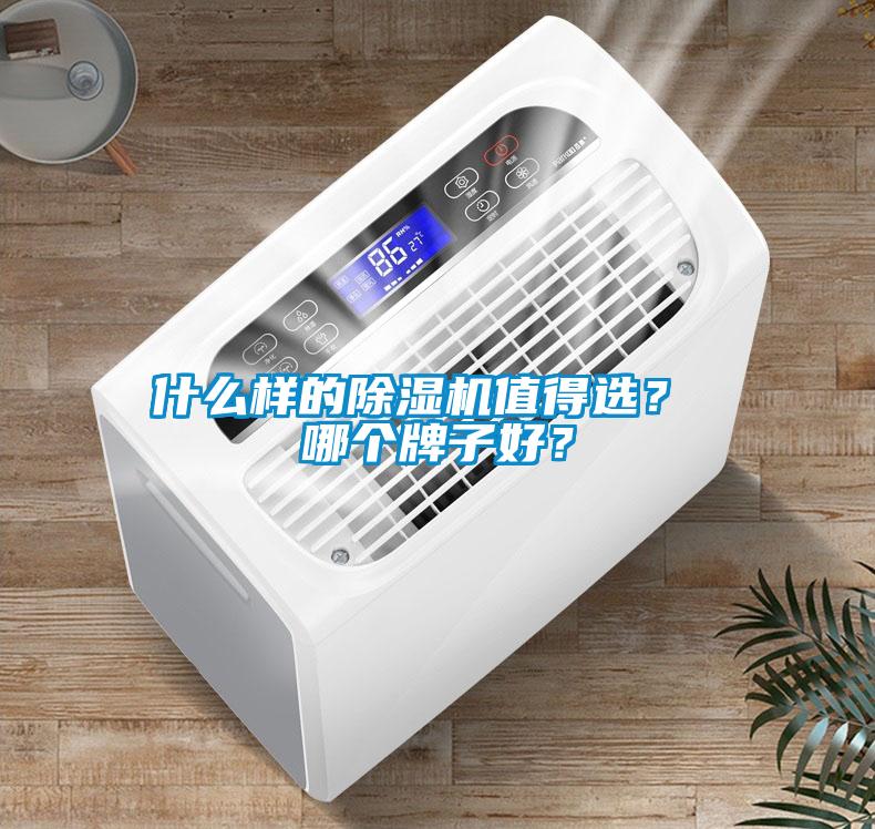什么樣的除濕機(jī)值得選？ 哪個(gè)牌子好？
