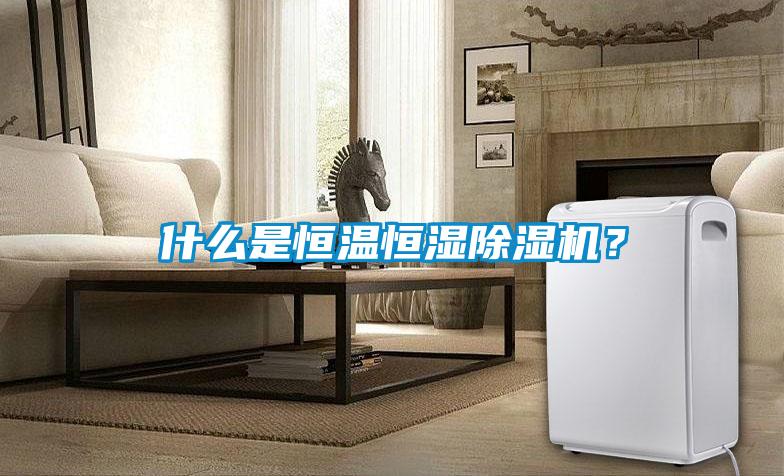 什么是恒溫恒濕除濕機(jī)？