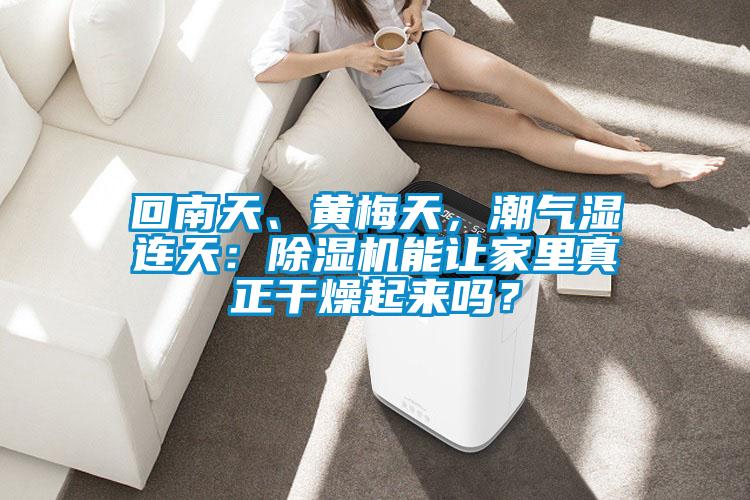 回南天、黃梅天，潮氣濕連天：除濕機能讓家里真正干燥起來嗎？