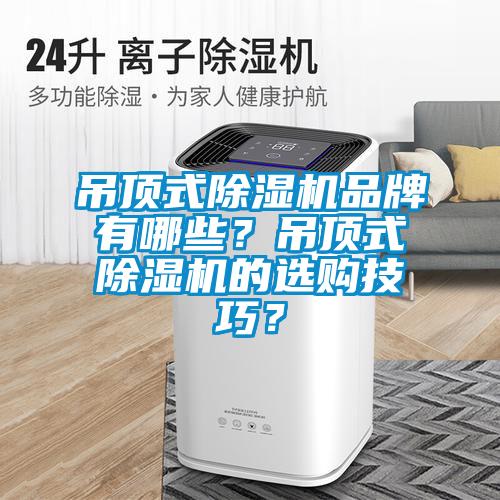 吊頂式除濕機品牌有哪些？吊頂式除濕機的選購技巧？