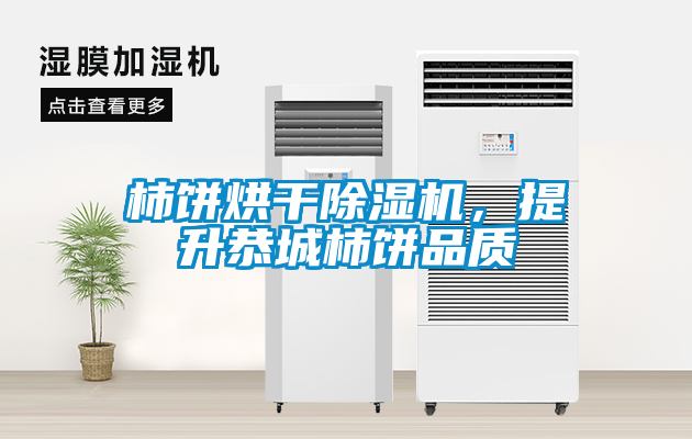 柿餅烘干除濕機，提升恭城柿餅品質