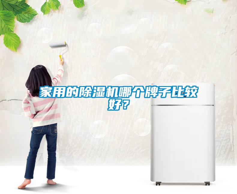家用的除濕機(jī)哪個(gè)牌子比較好？