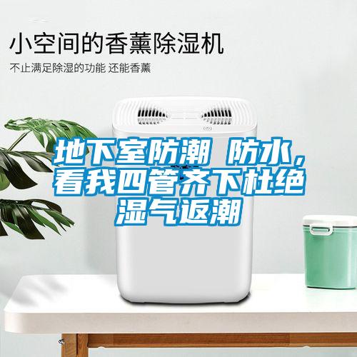 地下室防潮≠防水，看我四管齊下杜絕濕氣返潮