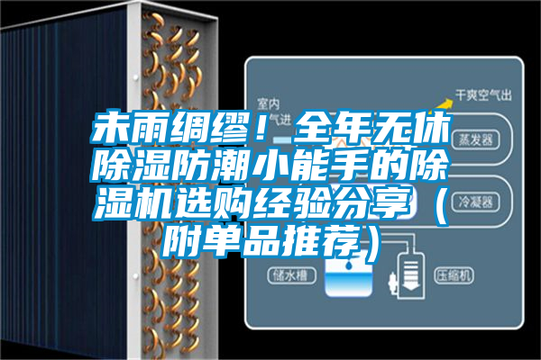未雨綢繆！全年無休除濕防潮小能手的除濕機選購經驗分享（附單品推薦）
