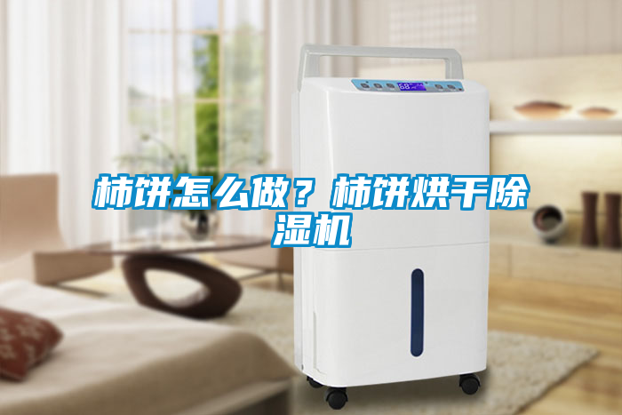 柿餅怎么做？柿餅烘干除濕機