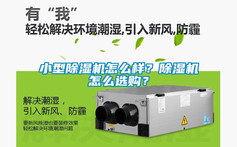 小型除濕機(jī)怎么樣？除濕機(jī)怎么選購？
