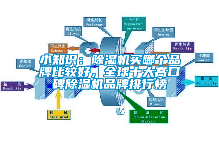 小知識(shí)：除濕機(jī)買哪個(gè)品牌比較好，全球十大高口碑除濕機(jī)品牌排行榜