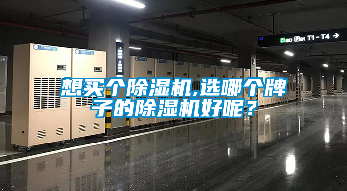 想買個(gè)除濕機(jī),選哪個(gè)牌子的除濕機(jī)好呢？