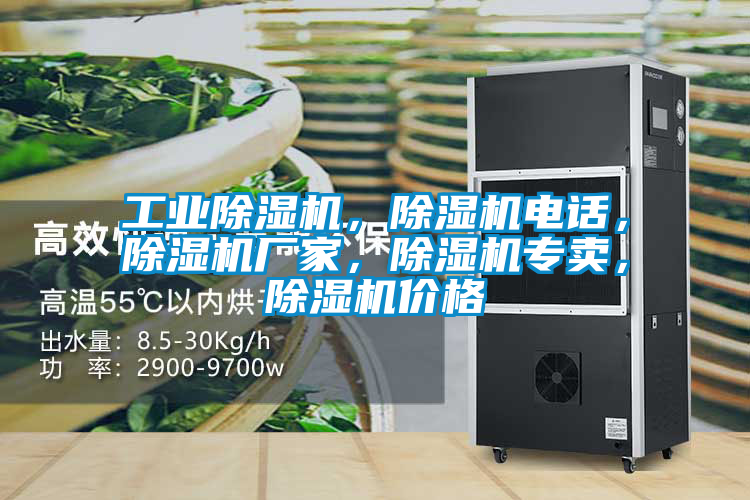 工業除濕機，除濕機電話，除濕機廠家，除濕機專賣，除濕機價格
