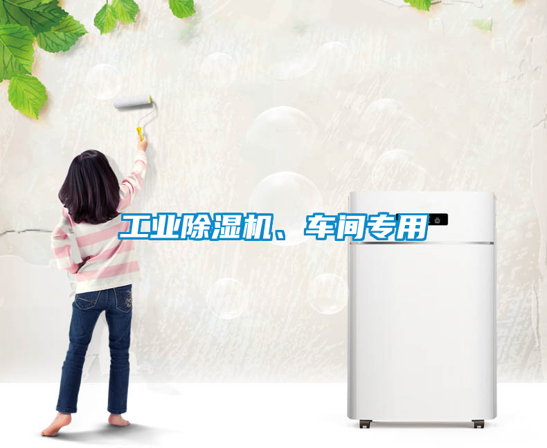 工業(yè)除濕機(jī)、車(chē)間專用