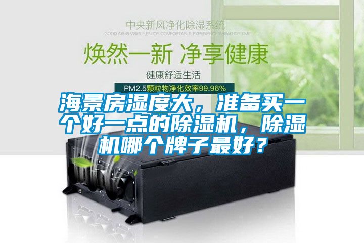 海景房濕度大，準備買一個好一點的除濕機，除濕機哪個牌子最好？