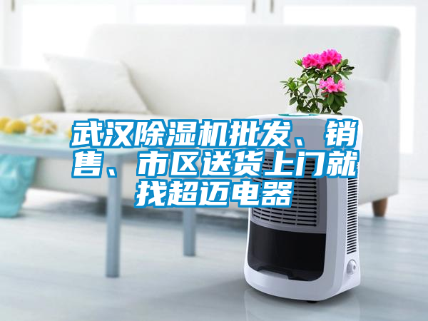 武漢除濕機(jī)批發(fā)、銷售、市區(qū)送貨上門就找超邁電器
