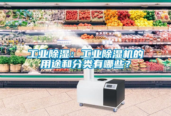 工業除濕：工業除濕機的用途和分類有哪些？