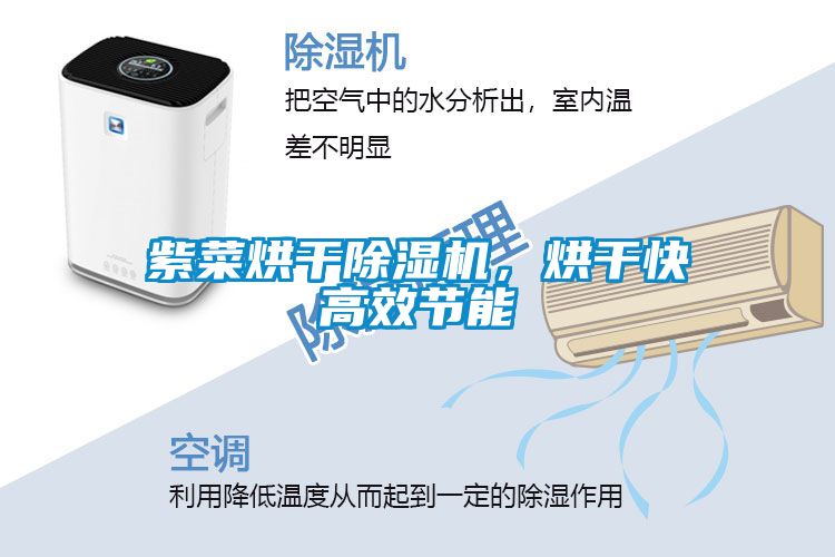 紫菜烘干除濕機(jī)，烘干快高效節(jié)能
