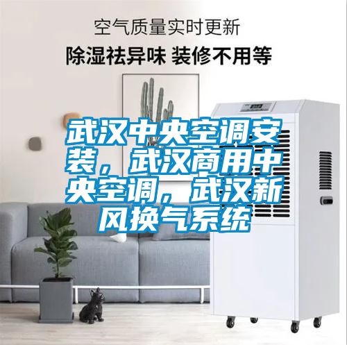 武漢中央空調安裝，武漢商用中央空調，武漢新風換氣系統