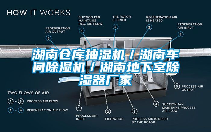 湖南倉(cāng)庫(kù)抽濕機(jī)／湖南車(chē)間除濕機(jī)／湖南地下室除濕器廠(chǎng)家
