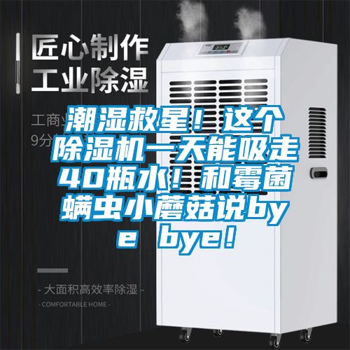 潮濕救星！這個除濕機(jī)一天能吸走40瓶水！和霉菌螨蟲小蘑菇說bye bye！