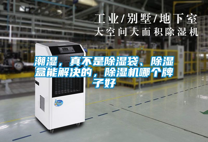 潮濕，真不是除濕袋、除濕盒能解決的，除濕機哪個牌子好