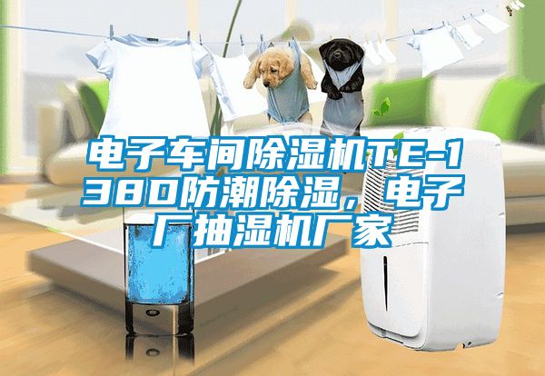 電子車(chē)間除濕機(jī)TE-138D防潮除濕，電子廠抽濕機(jī)廠家