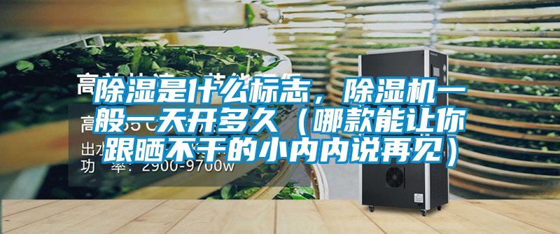 除濕是什么標(biāo)志，除濕機(jī)一般一天開(kāi)多久（哪款能讓你跟曬不干的小內(nèi)內(nèi)說(shuō)再見(jiàn)）