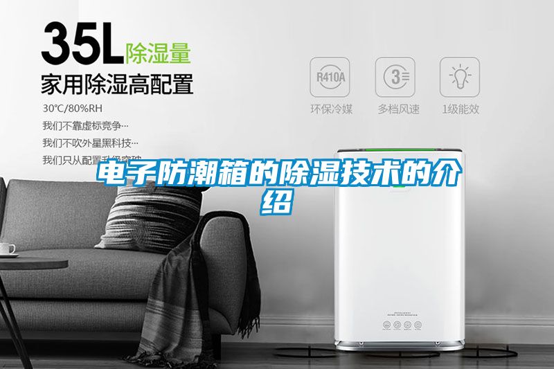 電子防潮箱的除濕技術(shù)的介紹