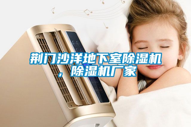 荊門沙洋地下室除濕機，除濕機廠家