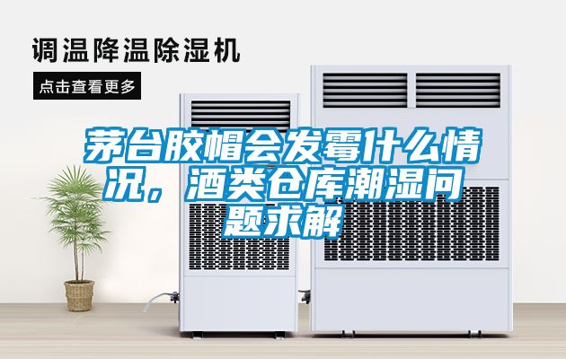茅臺膠帽會發霉什么情況，酒類倉庫潮濕問題求解