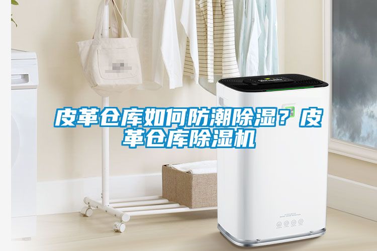 皮革倉(cāng)庫(kù)如何防潮除濕？皮革倉(cāng)庫(kù)除濕機(jī)