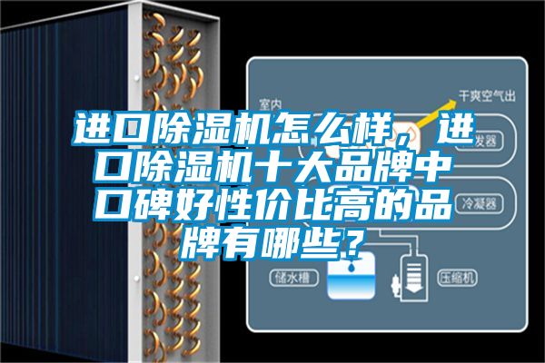 進口除濕機怎么樣，進口除濕機十大品牌中口碑好性價比高的品牌有哪些？