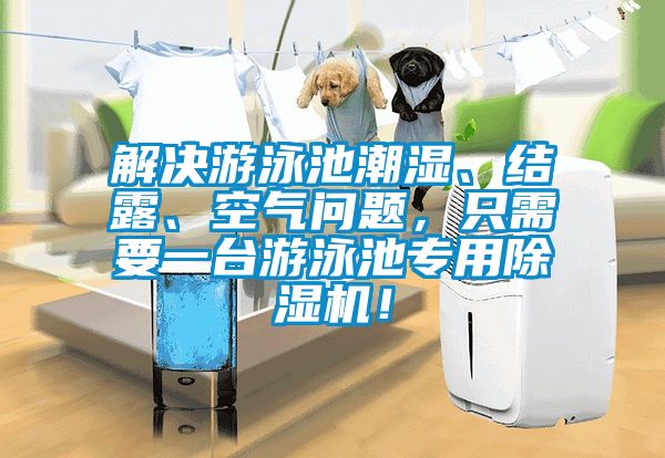 解決游泳池潮濕、結露、空氣問題，只需要一臺游泳池專用除濕機！