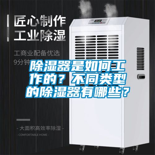 除濕器是如何工作的？不同類型的除濕器有哪些？