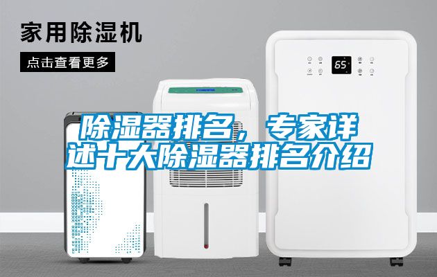 除濕器排名，專家詳述十大除濕器排名介紹