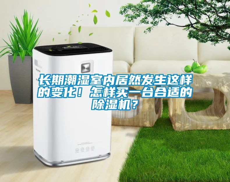 長(zhǎng)期潮濕室內(nèi)居然發(fā)生這樣的變化！怎樣買一臺(tái)合適的除濕機(jī)？