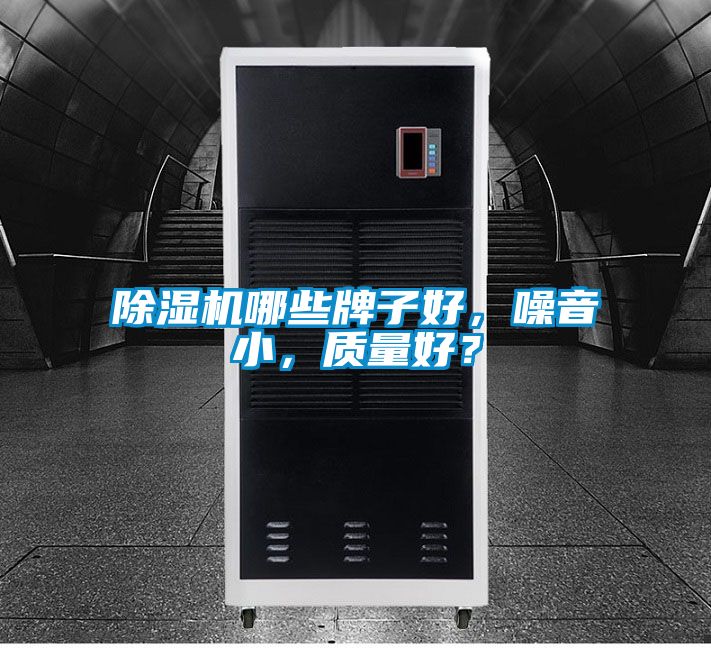 除濕機哪些牌子好，噪音小，質量好？