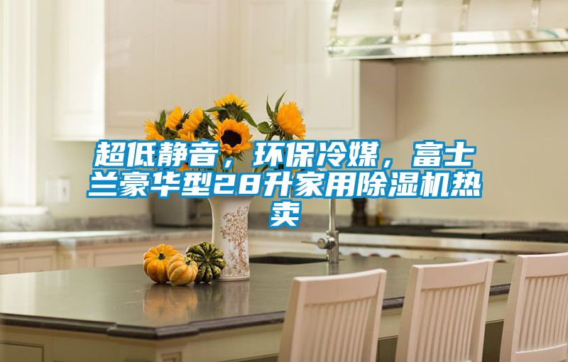 超低靜音，環(huán)保冷媒，富士蘭豪華型28升家用除濕機(jī)熱賣(mài)