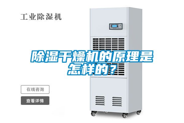 除濕干燥機的原理是怎樣的？