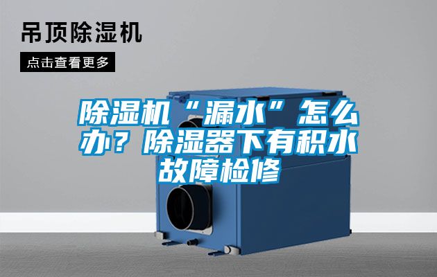 除濕機“漏水”怎么辦？除濕器下有積水故障檢修