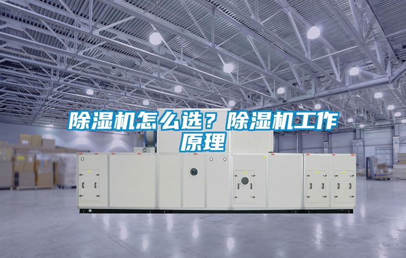 除濕機怎么選？除濕機工作原理