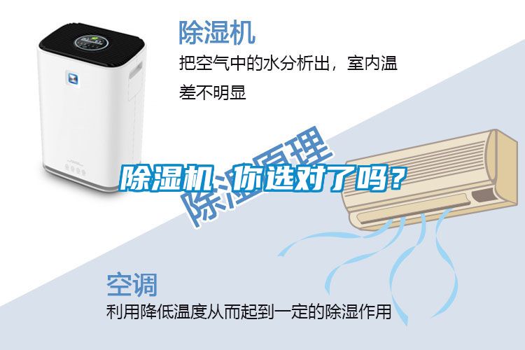 除濕機 你選對了嗎？